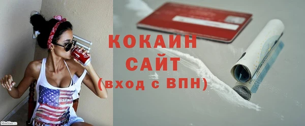 прущие грибы Абаза