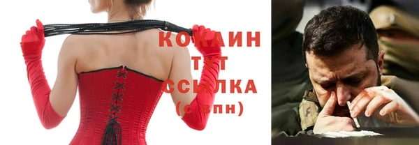 прущие грибы Абаза