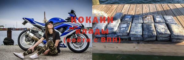 прущие грибы Абаза